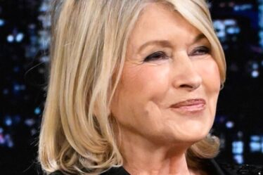 Martha Stewart `` règles '' anti-âge après que le magnat ait séduit avec un selfie anti-âge