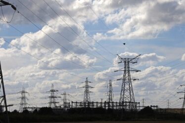 National Grid affirme que le système de rationnement de l'énergie pourrait devenir «la façon dont nous fonctionnons tous» à l'avenir