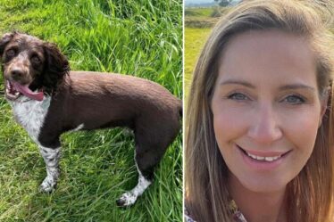 Nicola Bulley a peut-être eu un "problème" avec un chien avant de disparaître, selon la police
