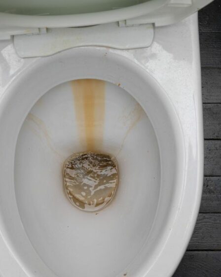Comment "faire fondre" le calcaire des toilettes en une nuit pour 37p - "l'eau de Javel ne fonctionnera pas"
