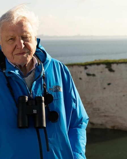David Attenborough célèbre la beauté et la diversité des îles britanniques dans une nouvelle série