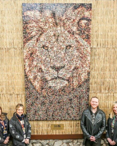 Des illustrations saisissantes représentent un lion royal composé de photos de centaines d'autres animaux