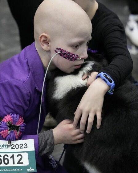 Freya, 8 ans, défie le cancer pour montrer son chien Echo à Crufts