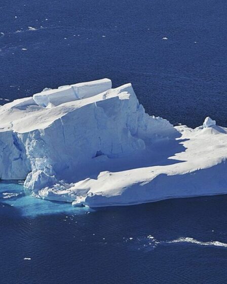 La calotte glaciaire de l'Antarctique a perdu plus de trois mille milliards de tonnes en seulement 25 ans