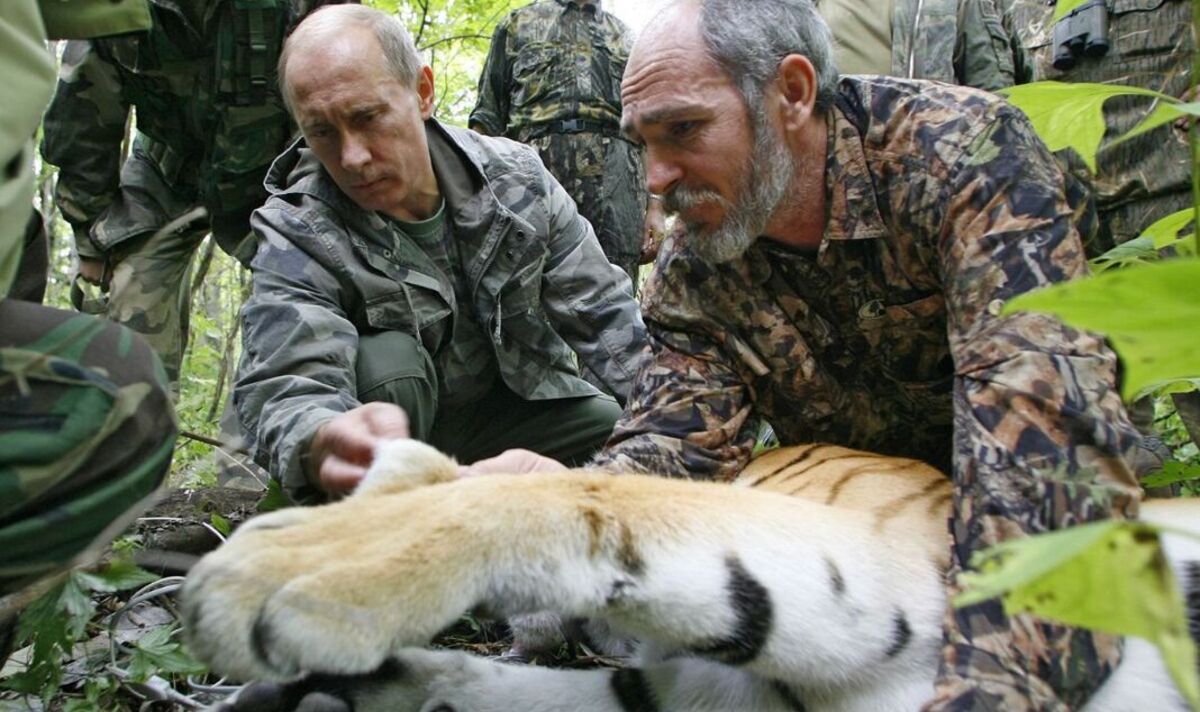 La cascade de relations publiques bâclée de Poutine qui a laissé un tigre mort en voie de disparition refait surface