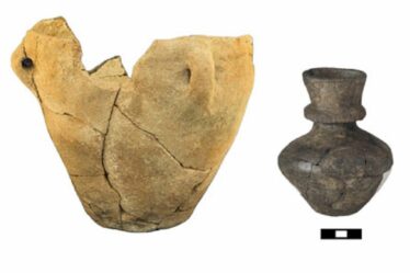 Les agriculteurs du néolithique tardif fabriquaient du fromage à partir du lait de divers animaux, révèlent des céramiques