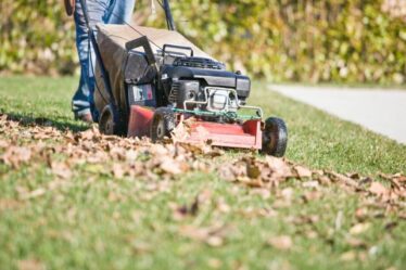 "Meilleure" hauteur pour tondre votre pelouse - une erreur de coupe "courante" pourrait endommager votre gazon
