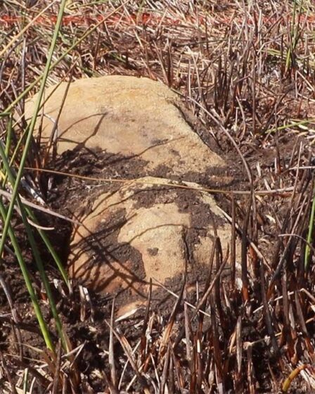 Percée sur l'île de Pâques après la découverte d'une nouvelle statue moai au fond d'un lagon asséché
