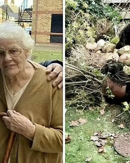Retraité, 86 ans, en larmes après la destruction d'un jardin qu'il a fallu 17 ans pour cultiver par le conseil