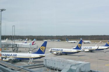 Ryanair émet un avertissement de voyage pour les «annulations» et les «retards» de vols de vacances en avril