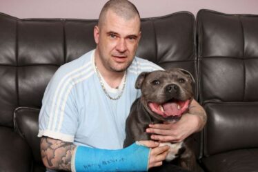Un homme hurle de terreur après qu'un chien l'ait attaqué et s'est cassé un os en laissant du « sang partout »