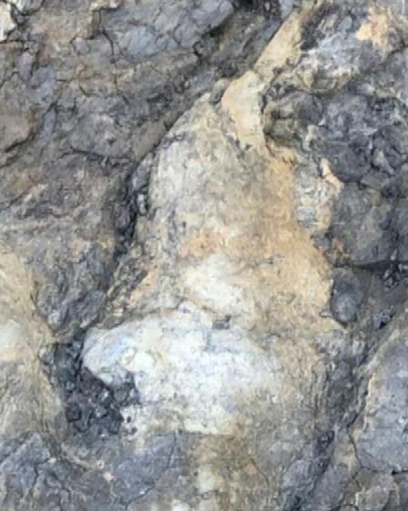 Une empreinte géante de dinosaure carnivore découverte sur la côte du Yorkshire