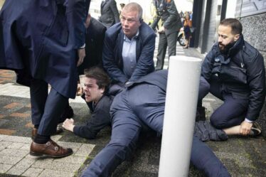 Des manifestants provocants plaqués au sol alors qu'ils courent vers Macron lors d'une visite à l'université néerlandaise