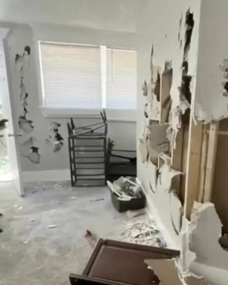 Des squatters ont saccagé la maison d'une femme et lui ont jeté du caca, mais la police a refusé de l'aider