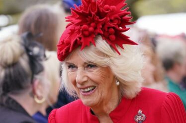 La reine Camilla "ne voudrait jamais être grise" pour le couronnement, affirme son coiffeur