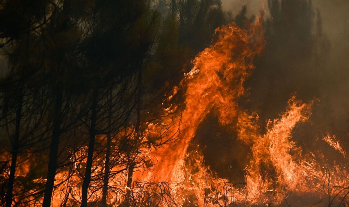 L'été "effrayant" le plus chaud jamais enregistré en Europe devrait être un "réveil"