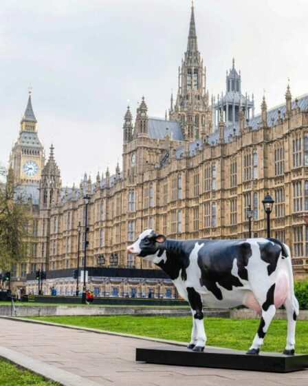 Une «lampe vache» grandeur nature apparaît devant les chambres du Parlement pour souligner la crise énergétique