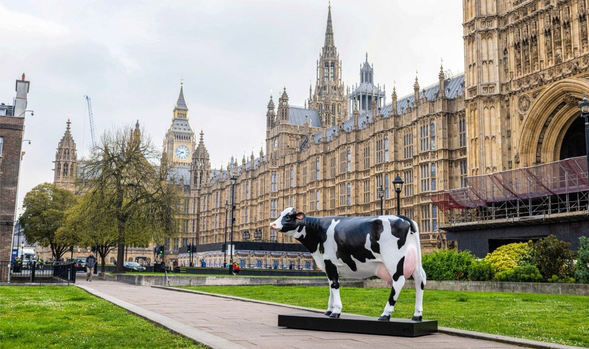 Une «lampe vache» grandeur nature apparaît devant les chambres du Parlement pour souligner la crise énergétique