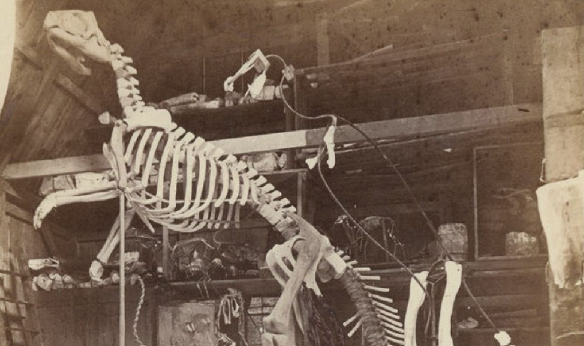 Le véritable coupable de la destruction du premier musée des dinosaures de New York révélé