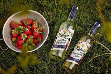 Coronation ajoute du pétillant aux ventes mondiales de boissons gazeuses naturelles de Belvoir Farm