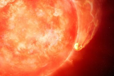 Des scientifiques voient une étoile mourante engloutir la planète dans un horrible aperçu du "destin final" de la Terre