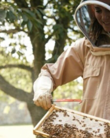 Kate "bourdonne" alors qu'elle se prépare pour les tâches d'apiculture pour célébrer les insectes "essentiels"