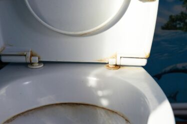 Le nettoyeur partage le «meilleur» produit à 1 £ pour éliminer le calcaire «têtu» des toilettes du jour au lendemain