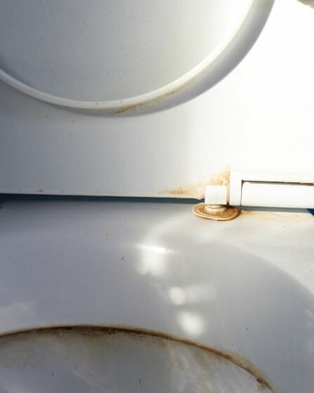 Le nettoyeur partage le «meilleur» produit à 1 £ pour éliminer le calcaire «têtu» des toilettes du jour au lendemain