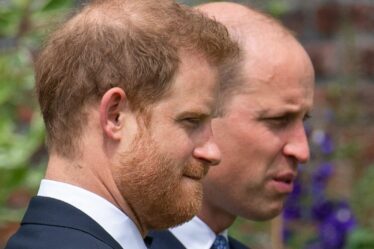 Royal Family LIVE: le coup de sept mots de William à Harry lors du couronnement causera une grande douleur