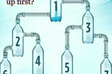 Seuls les génies avec un QI élevé peuvent deviner quelle bouteille se remplira en premier