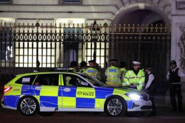 Un suspect du palais de Buckingham va obtenir une aide médicale après avoir « jeté des balles de fusil de chasse » sur le terrain