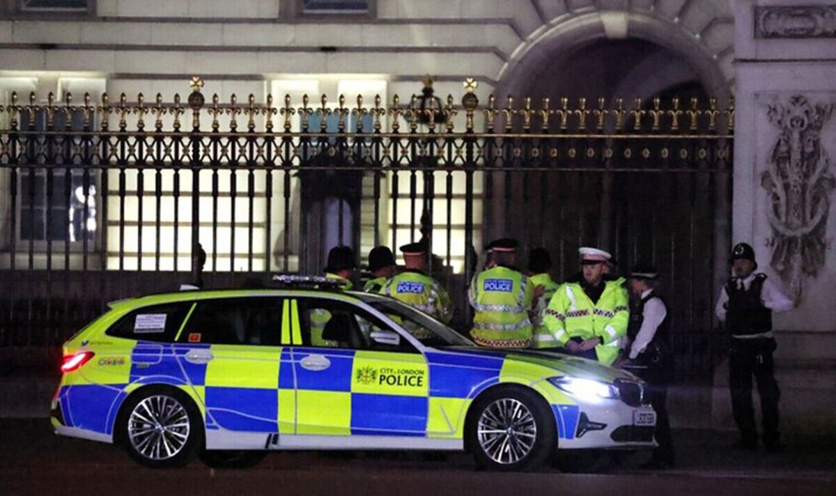Un suspect du palais de Buckingham va obtenir une aide médicale après avoir « jeté des balles de fusil de chasse » sur le terrain