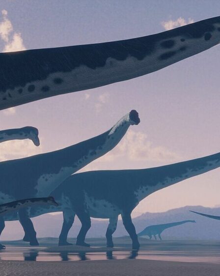 Une étude sur les dinosaures révèle comment les plus grands animaux de la Terre ont atteint des tailles aussi colossales