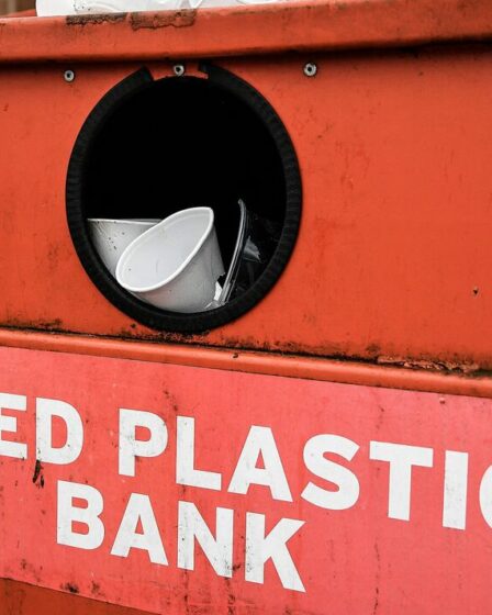 Une étude sur les microplastiques suggère que le recyclage est plus nocif pour les humains, les animaux et la planète