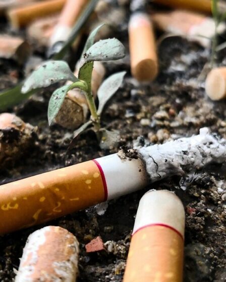 demande l'interdiction des filtres à cigarettes en raison des dommages causés à la santé et à l'environnement