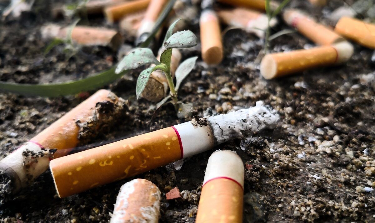 demande l'interdiction des filtres à cigarettes en raison des dommages causés à la santé et à l'environnement