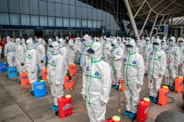 Bombshell Covid avertit que la Chine travaillait sur une «arme biologique» avant la fuite du laboratoire