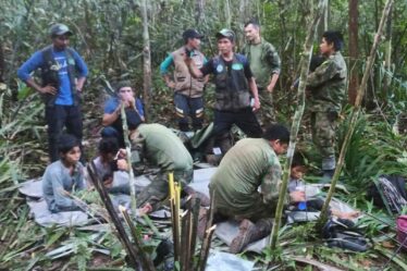 Des enfants retrouvés vivants des semaines après l'écrasement d'un avion dans la jungle
