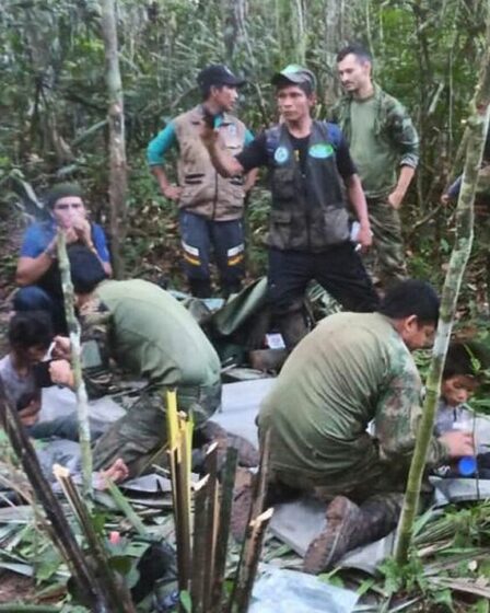 Des enfants retrouvés vivants des semaines après l'écrasement d'un avion dans la jungle