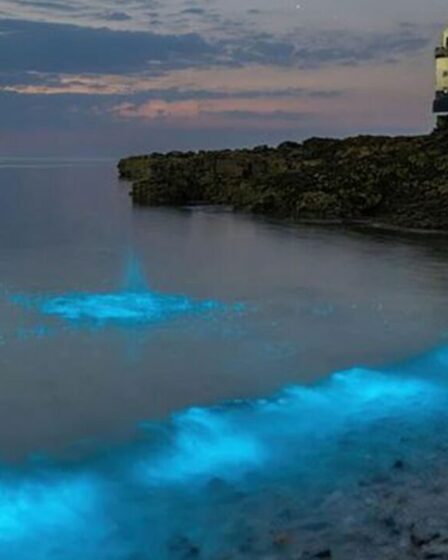 Des lumières magiques qui font scintiller une plage galloise la nuit