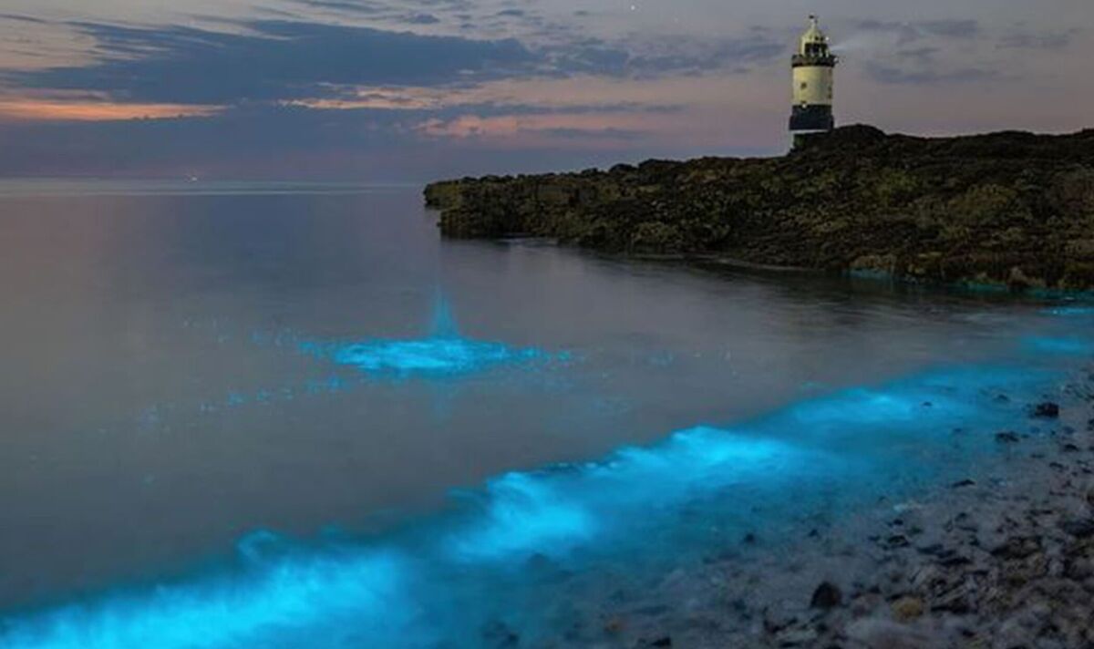 Des lumières magiques qui font scintiller une plage galloise la nuit