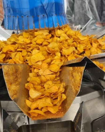 « Les chips les plus saines au monde » créées par des scientifiques - tout dépend de la maturité de la pomme de terre