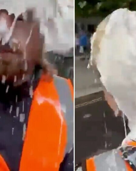 'Prends ça, c ***!'  Un Londonien marre du moment jette du lait partout dans Just Stop Oil "faux"