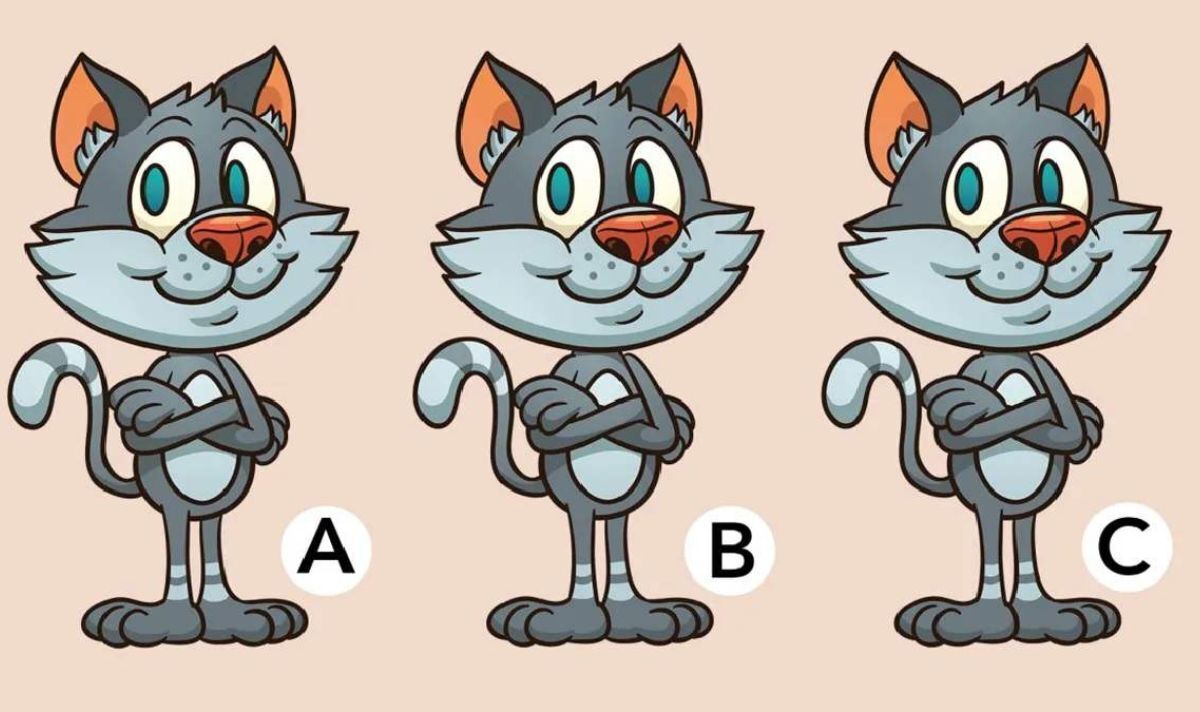 Seuls ceux qui ont un QI élevé peuvent repérer les différences entre ces images de chats en quelques secondes