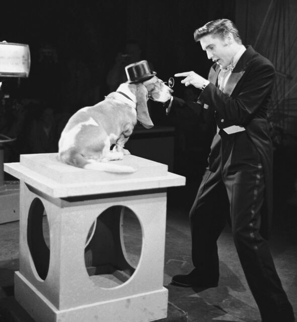 Elvis dans l'émission de Steve Allen avec un chien de chasse