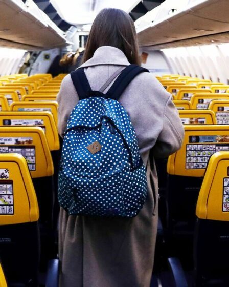 Battez les frais de bagages de Ryanair avec un bagage de 11,99 £, économisez 45 £ avec le piratage des bagages et bien plus encore
