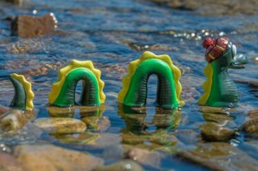 Monstre du Loch Ness : un scientifique exclut les anguilles géantes comme explication de la légende écossaise