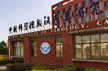 Biden suspend le financement du laboratoire de Wuhan au centre de l'enquête sur les fuites de Covid pour manque de transparence