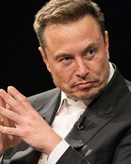 Elon Musk accusé de censure après que le critique de Tesla ait INTERDIT d'utiliser la fonction Twitter