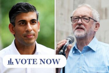 Êtes-vous dans le coin de Corbyn, ou strictement Sunak ?  VOTEZ pour votre homme politique britannique préféré